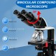 Microscopio Binocular Compuesto Wevision 40X-2500