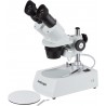 Estereomicroscopio AmScope Binocular Frontal 40X-80X