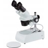 Estereomicroscopio Binocular Frontal 20X-40X Led
