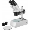 Estereomicroscopio binocular 20X-80X MIC31