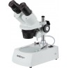 Microscopio Estereo Binocular AmScope SE306R-P 20X–40X con Iluminación Halógena Superior e Inferior