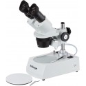 Estereomicroscopios